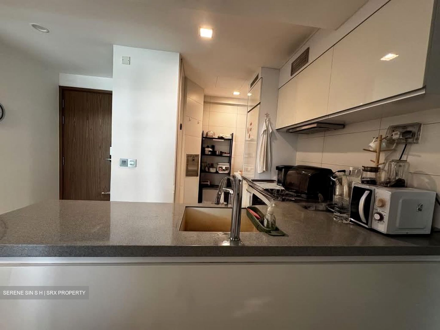 Suites At Orchard (D9), Apartment #589064771
